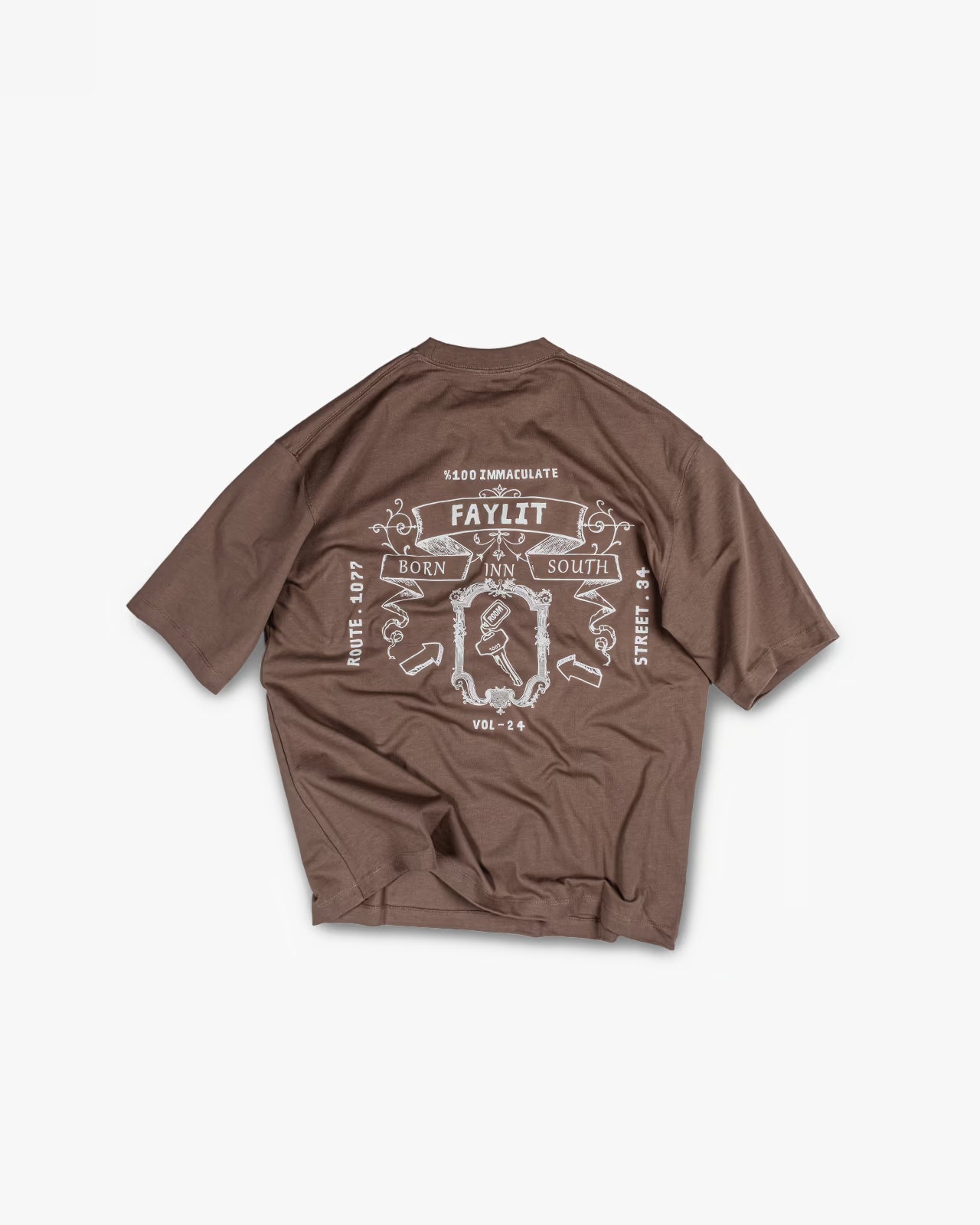 FAYLIT kahverengi oversize tişört, arka kısmında vintage tarzı, beyaz renkte detaylı Born Inn South grafik baskısı, unisex, rahat kesim