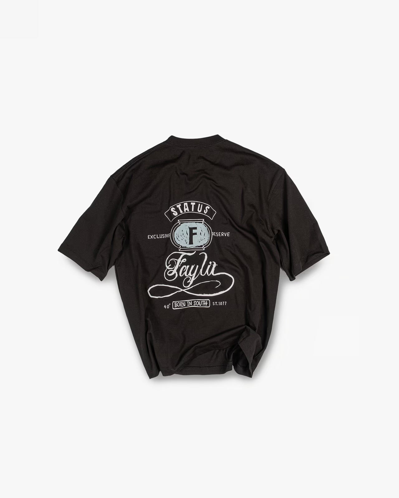 FAYLIT siyah oversize tişört, arka kısmında el ile yazılmış çizim tipografik tasarım, "FAYLIT" ve "Born in South" yazıları, tuğla rengi oval içinde F harfi ve "STATUS" detayları içeren vintage grafik baskı, unisex ve rahat kalıp.